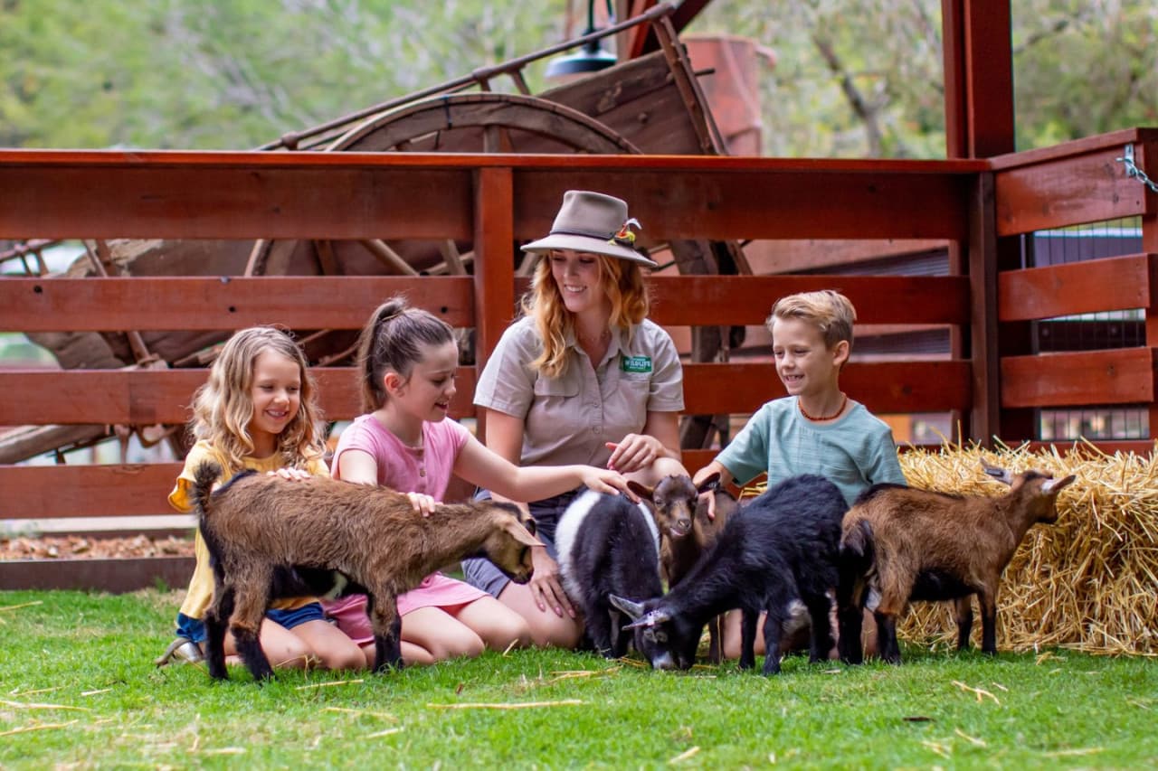 Currumbin Wildlife Sanctuary Gold Coast Ticket - image 5